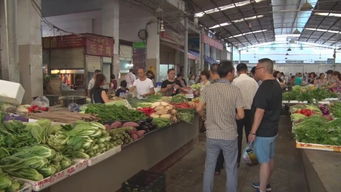 南部重拳出击 严查食品药品商家，15起食用农产品批发案件移交公安机关