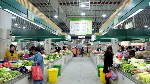 路桥食光 共享美味，打造农产品批发新生态