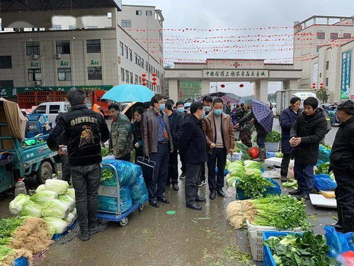 春节期间食用农产品质量安全专项执法行动全面展开，筑牢群众“菜篮子”安全防线